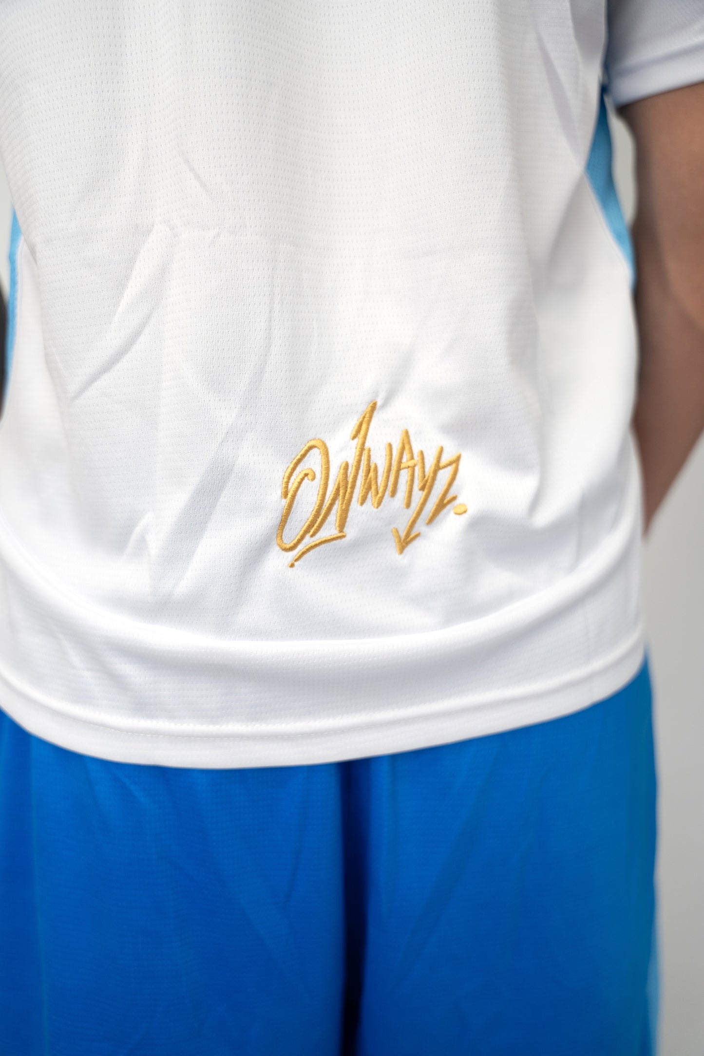 Gradient Jersey - White Blue